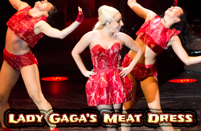Lady-Gagas-Meat-Dress